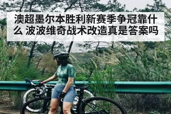 澳超墨尔本胜利新赛季争冠靠什么 波波维奇战术改造真是答案吗 - leyu
